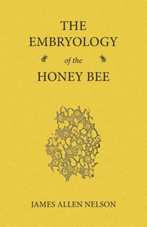 Cover of the book The Embryology of the Honey Bee by James Allen Nelson, Read Books Ltd.