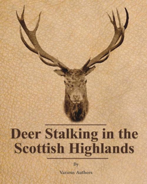Cover of the book Deer Stalking in the Scottish Highlands by Various Authors, Read Books Ltd.