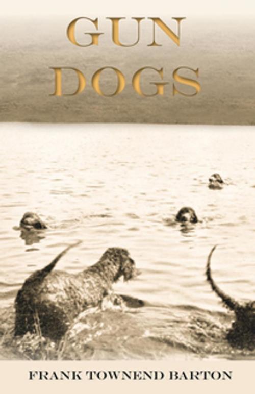 Cover of the book Gun Dogs by Frank Townend Barton, Read Books Ltd.