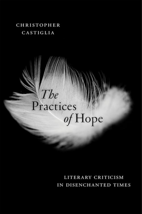 Cover of the book The Practices of Hope by Christopher Castiglia, NYU Press