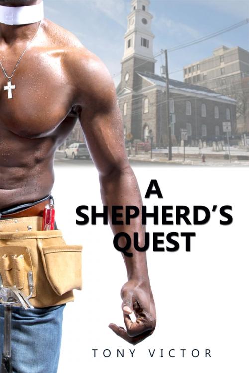 Cover of the book A Shepherd's Quest by Tony Victor, Dorrance Publishing