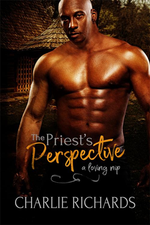 Cover of the book The Priest's Perspective by Charlie Richards, eXtasy Books Inc