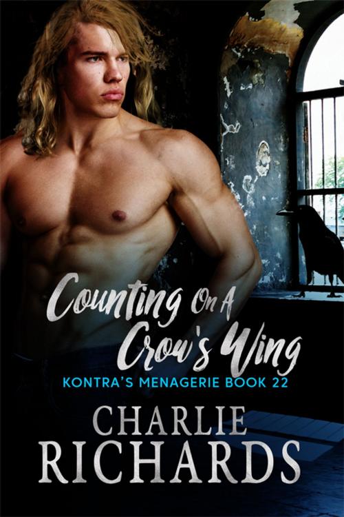 Cover of the book Counting on a Crow's Wing by Charlie Richards, eXtasy Books Inc