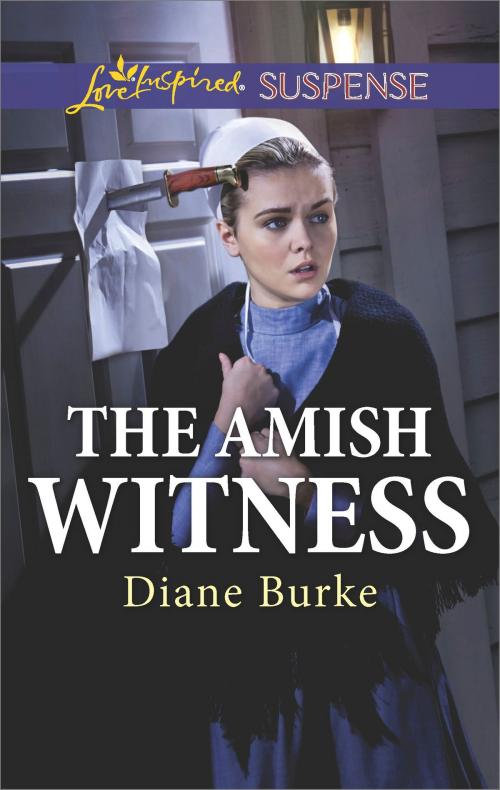 Cover of the book The Amish Witness by Diane Burke, Harlequin