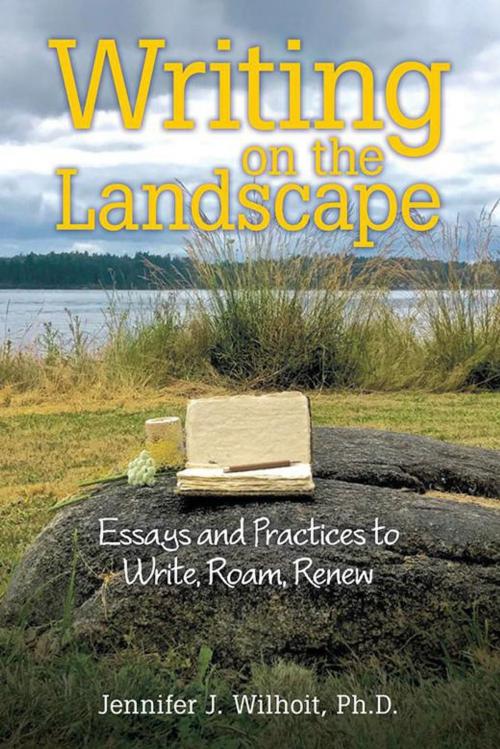 Cover of the book Writing on the Landscape by Jennifer J. Wilhoit Ph.D., LifeRich Publishing