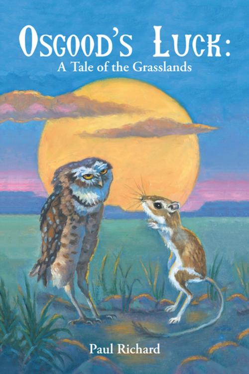 Cover of the book Osgood’S Luck: a Tale of the Grasslands by Paul Richard, Trafford Publishing