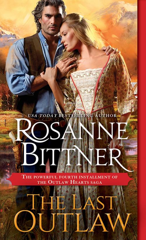 Cover of the book The Last Outlaw by Rosanne Bittner, Sourcebooks