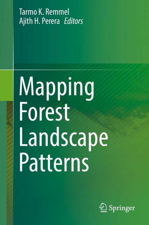 Cover of the book Mapping Forest Landscape Patterns by , Springer New York