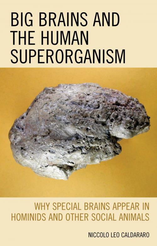 Cover of the book Big Brains and the Human Superorganism by Niccolo Leo Caldararo, Lexington Books
