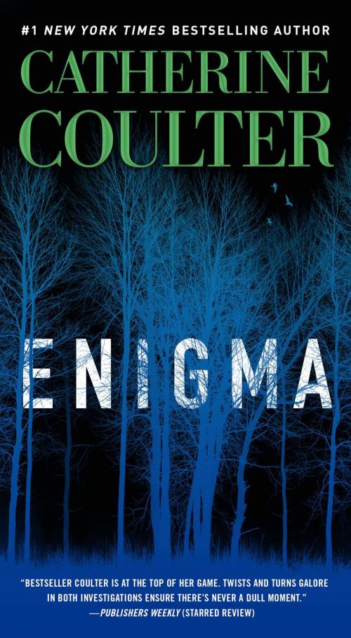 Cover of the book Enigma by Catherine Coulter, Gallery Books