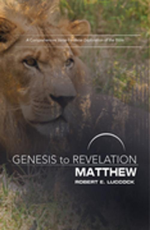Cover of the book Genesis to Revelation: Matthew Participant Book [Large Print] by Robert E. Luccock, Abingdon Press