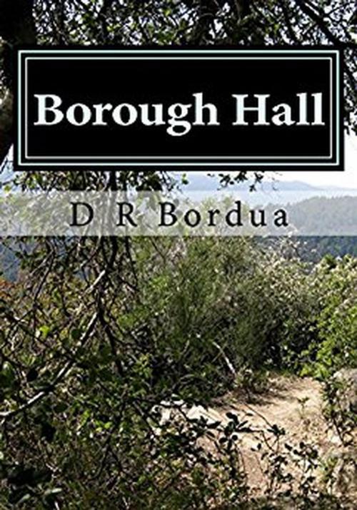 Cover of the book Borough Hall by DR Bordua, DR Bordua