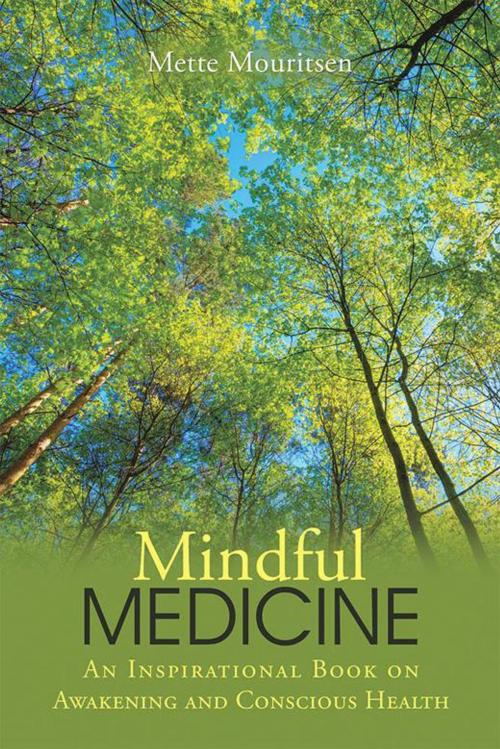 Cover of the book Mindful Medicine by Mette Mouritsen, Balboa Press