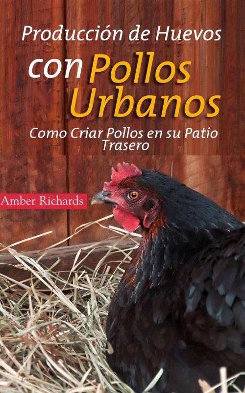 Cover of the book Producción de Huevos con Pollos Urbanos. Como Criar Pollos en su Patio Trasero by Amber Richards, Babelcube Inc.