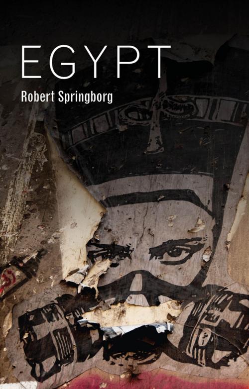Cover of the book Egypt by Robert Springborg, Wiley