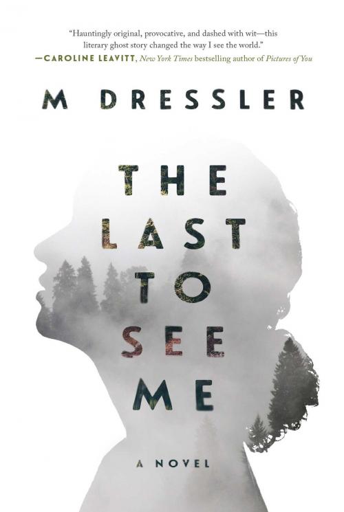 Cover of the book The Last to See Me by M Dressler, Skyhorse