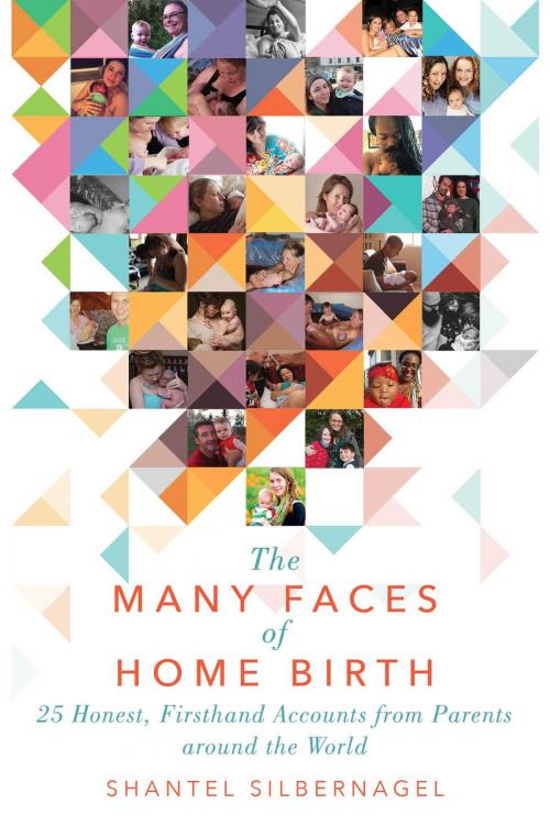 Cover of the book The Many Faces of Home Birth by Shantel Silbernagel, Skyhorse