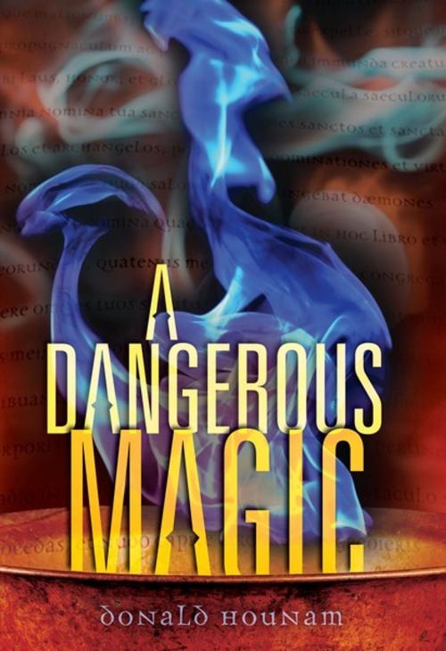 Cover of the book A Dangerous Magic by Donald Hounam, Lerner Publishing Group