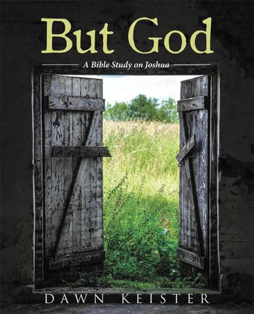 Cover of the book But God by Dawn Keister, WestBow Press