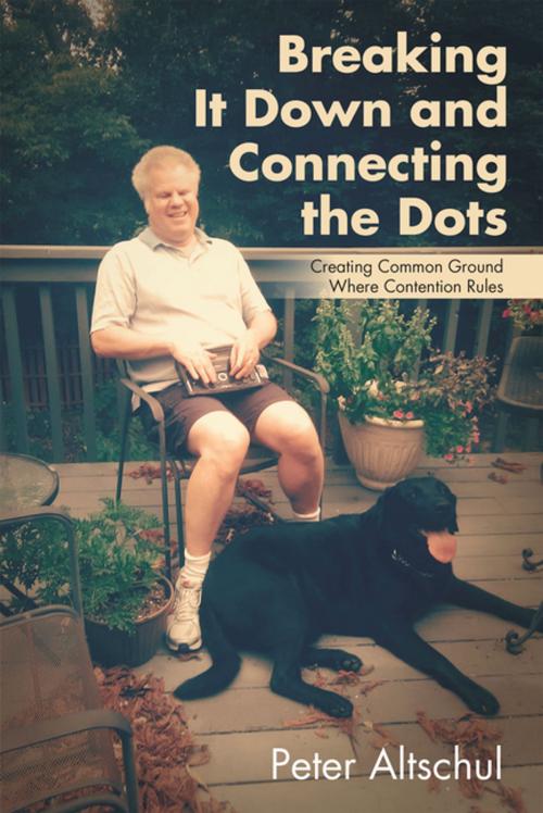 Cover of the book Breaking It Down and Connecting the Dots by Peter Altschul, iUniverse