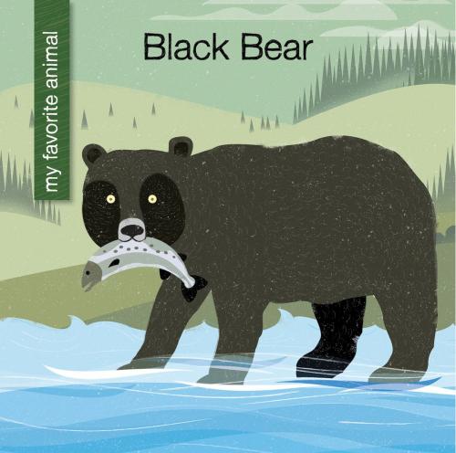 Cover of the book Black Bear by Virginia Loh-Hagan, Cherry Lake Publishing