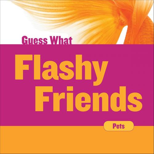 Cover of the book Flashy Friends by Felicia Macheske, Cherry Lake Publishing