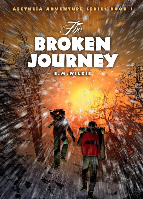 Cover of the book The Broken Journey by E M Wilkie, E M Wilkie