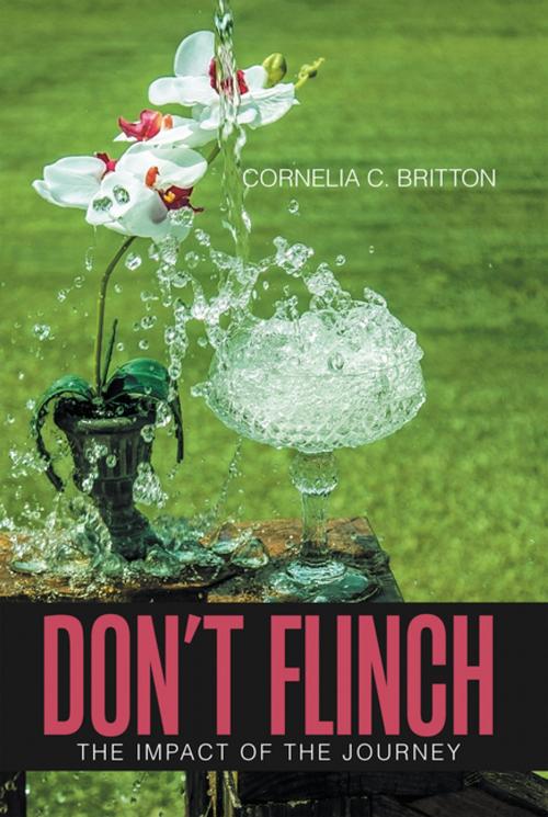 Cover of the book Don’T Flinch by Cornelia C. Britton, Xlibris US