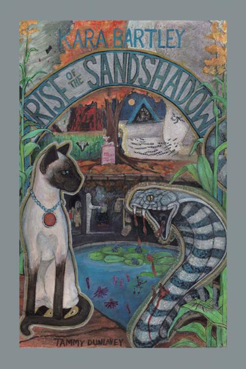 Cover of the book Rise of the Sandshadow by Kara Bartley, Xlibris US