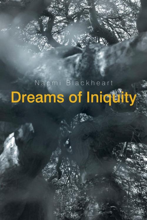 Cover of the book Dreams of Iniquity by Naomi Blackheart, Xlibris US