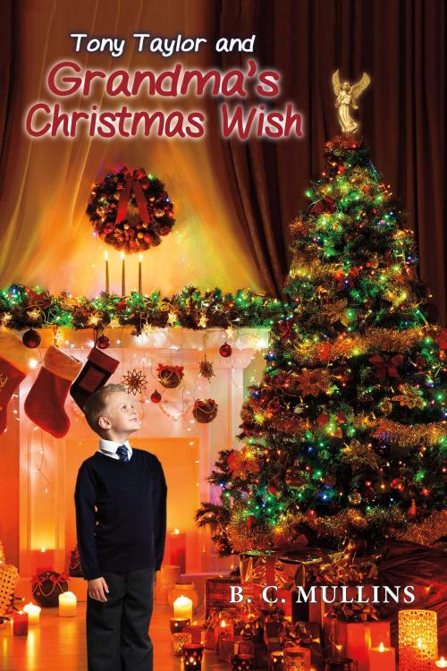 Cover of the book Tony Taylor and Grandma's Christmas Wish by B.C. Mullins, BookBaby