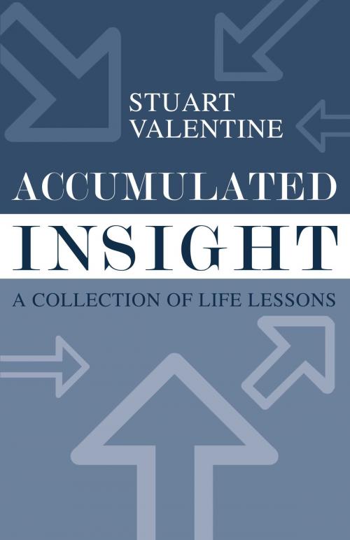 Cover of the book Accumulated Insight by Stuart Valentine, BookBaby