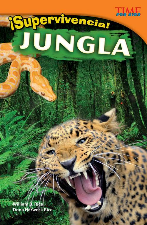 Cover of the book ¡Supervivencia! Jungla by William B. Rice, Dona Herweck Rice, Teacher Created Materials