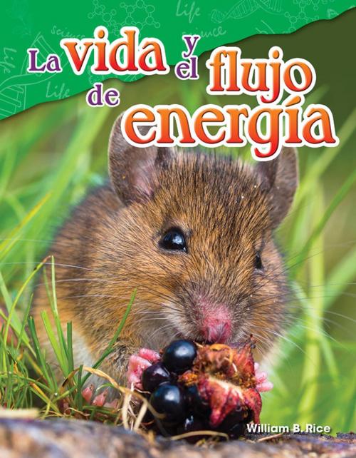 Cover of the book La vida y el flujo de energía by William B. Rice, Teacher Created Materials