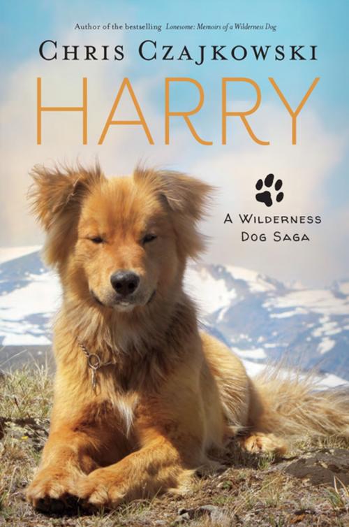 Cover of the book Harry by Chris Czajkowski, Harbour Publishing Co. Ltd.