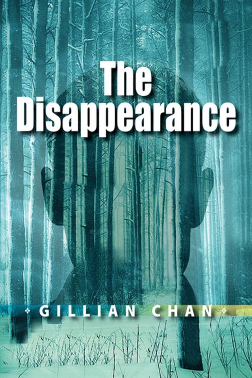 Cover of the book The Disappearance by Gillian Chan, Annick Press