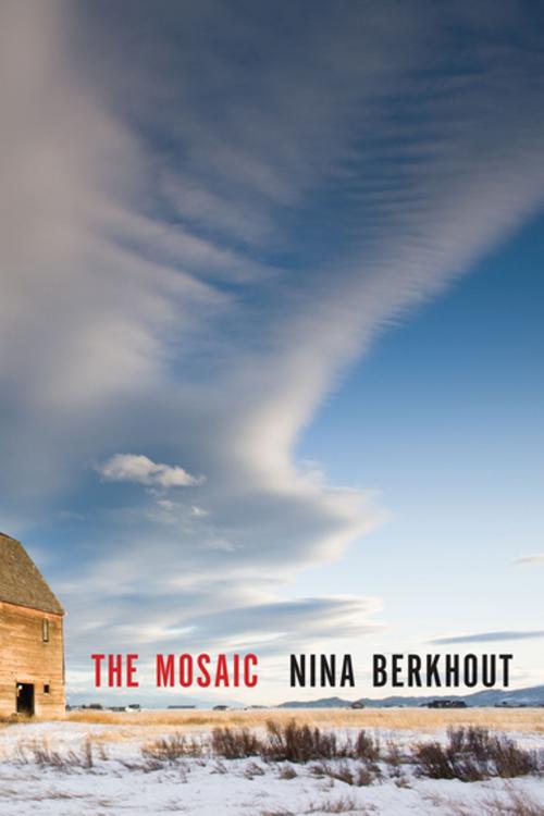 Cover of the book The Mosaic by Nina Berkhout, Groundwood Books Ltd