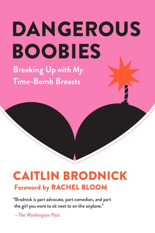 Cover of the book Dangerous Boobies by Caitlin Brodnick, Basic Books
