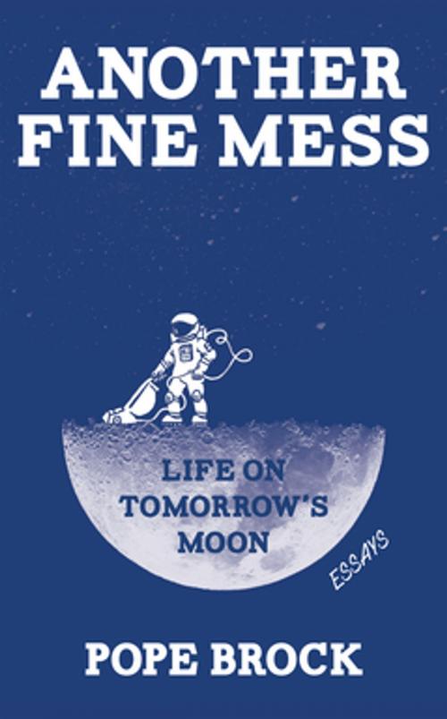 Cover of the book Another Fine Mess by Pope B Brock, Red Hen Press