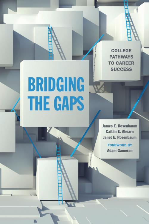 Cover of the book Bridging the Gaps by James E. Rosenbaum, Caitlin E. Ahearn, Janet E. Rosenbaum, Janet Rosenbaum, Russell Sage Foundation