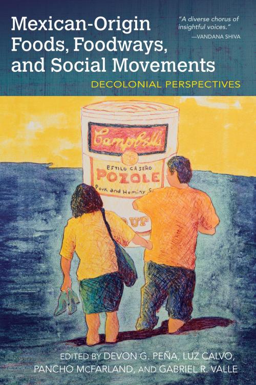 Cover of the book Mexican-Origin Foods, Foodways, and Social Movements by , University of Arkansas Press