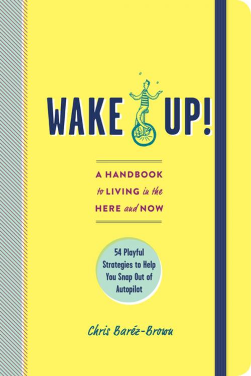 Cover of the book Wake Up! by Chris Baréz-Brown, The Experiment
