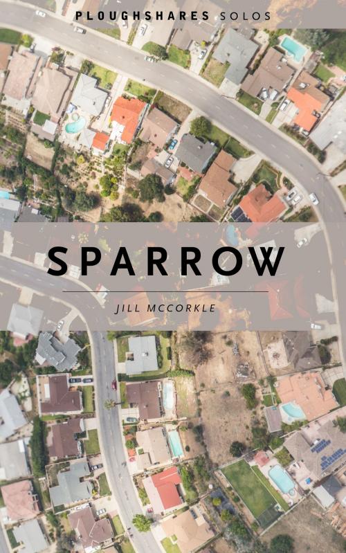 Cover of the book Sparrow by Jill McCorkle, Ploughshares / Emerson College