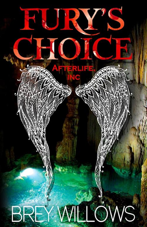 Cover of the book Fury's Choice by Brey Willows, Bold Strokes Books, Inc.