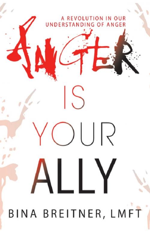 Cover of the book Anger Is Your Ally by Bina Breitner, Wheatmark, Inc.