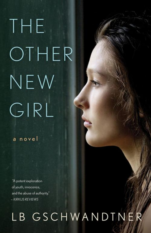 Cover of the book The Other New Girl by LB Gschwandtner, She Writes Press