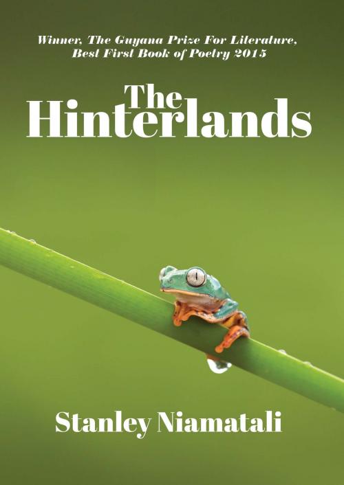 Cover of the book The Hinterlands by Stanley Niamatali, Mountain Arbor Press