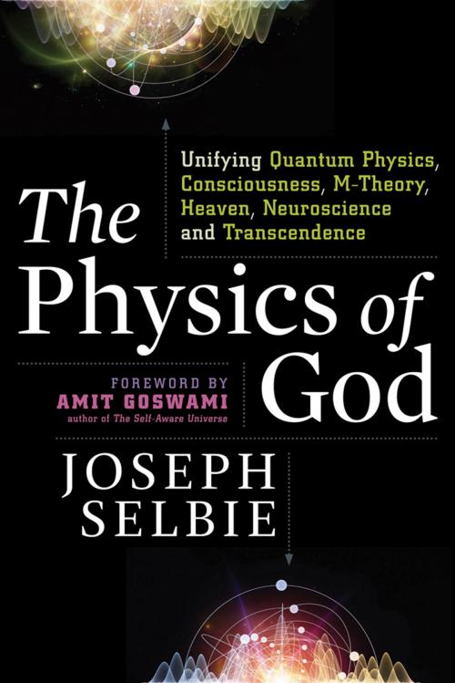 Cover of the book The Physics of God by Joseph Selbie, Red Wheel Weiser