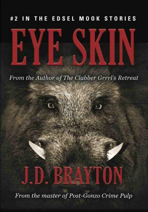 Cover of the book EYE SKIN by J.D. Brayton, BookLocker.com, Inc.