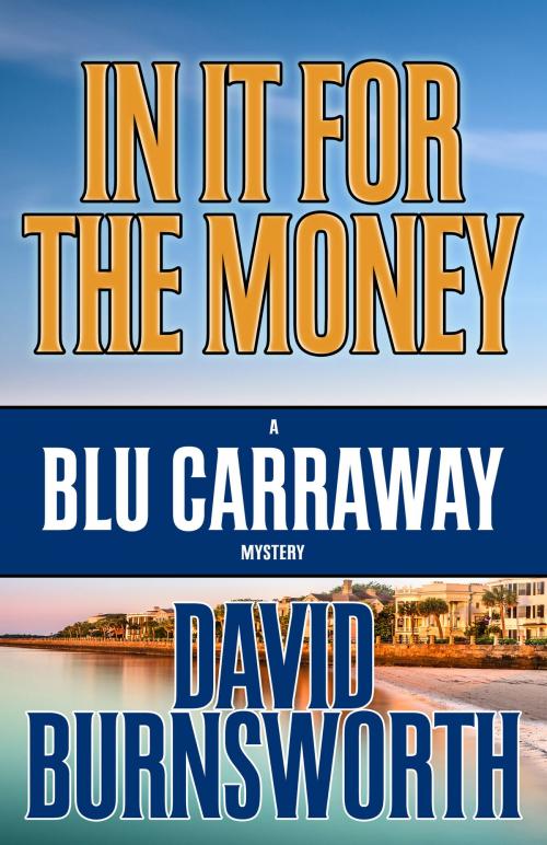 Cover of the book IN IT FOR THE MONEY by David Burnsworth, Henery Press